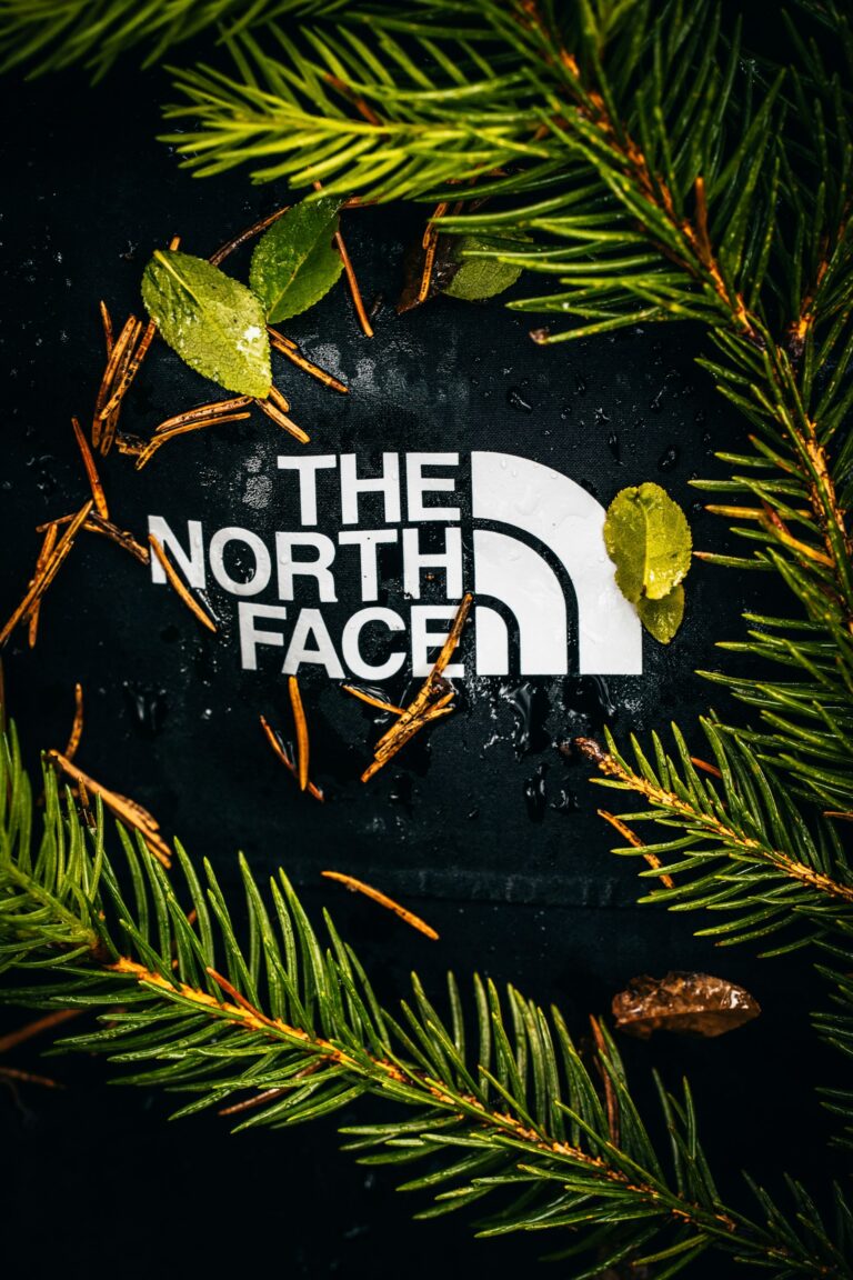 the north face